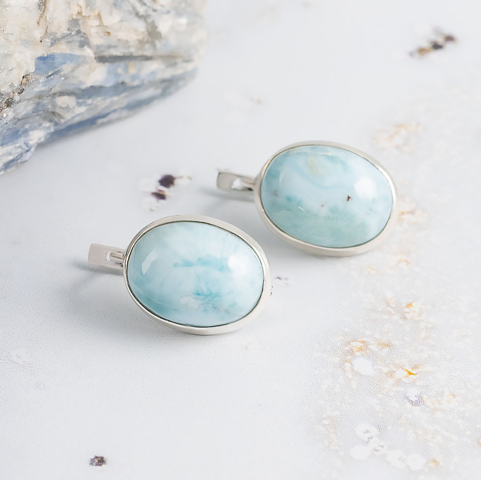 0790 Серьги (Ag 925)