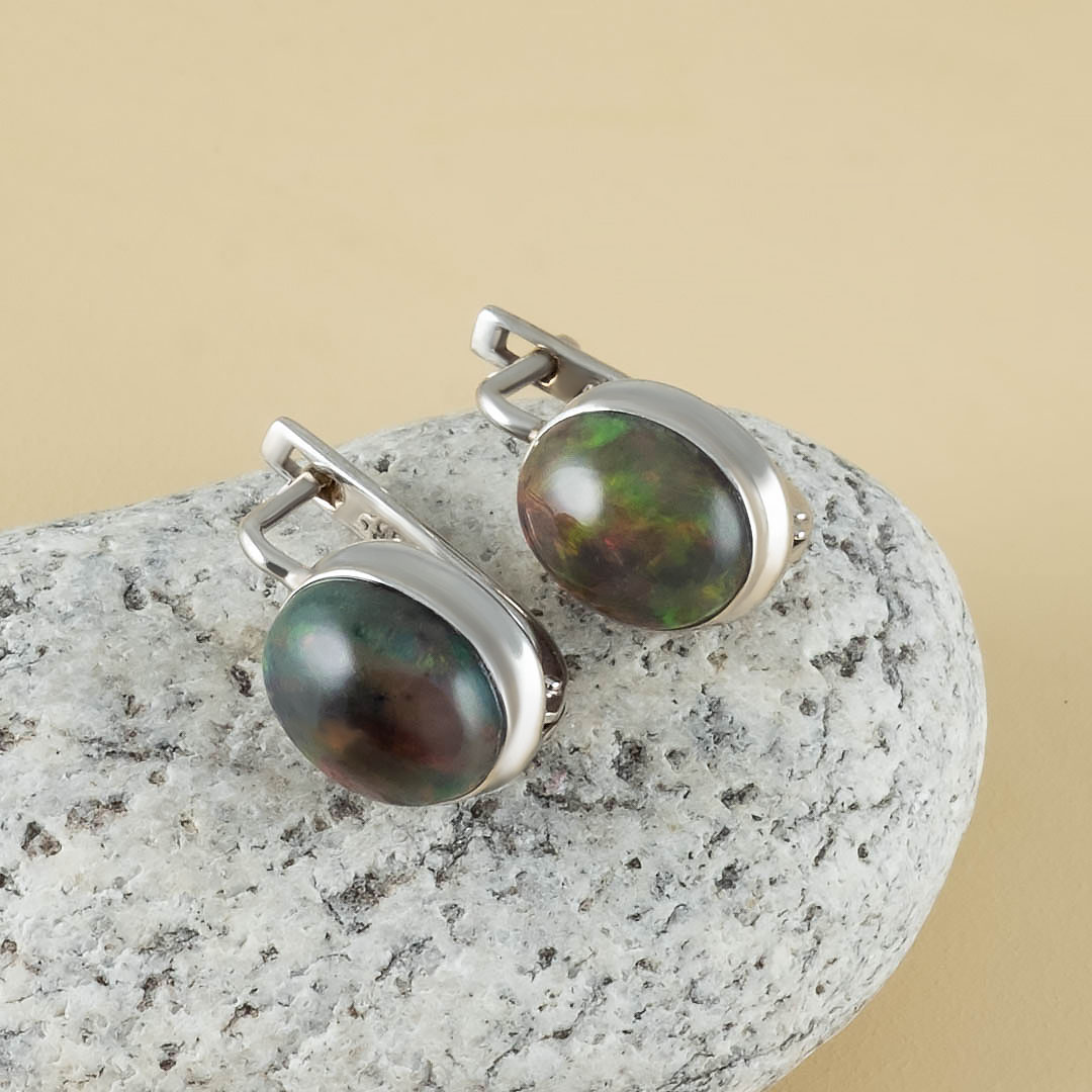 66898 Серьги (Ag 925)