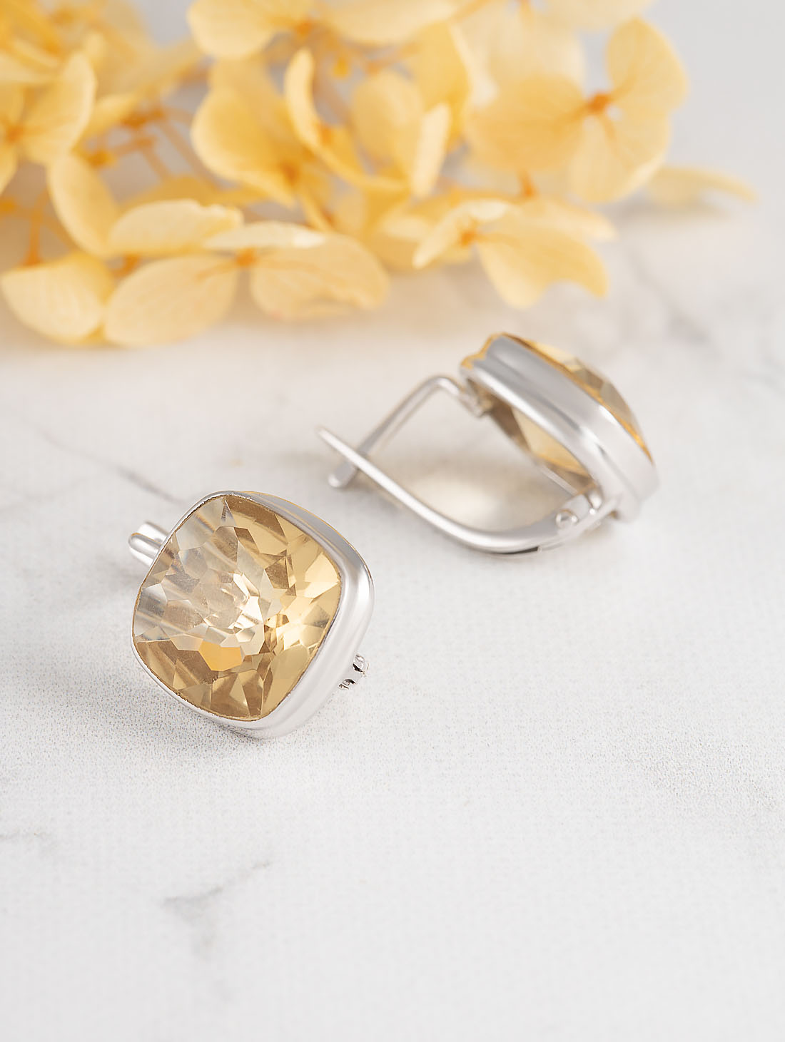 88699 Серьги (Ag 925)