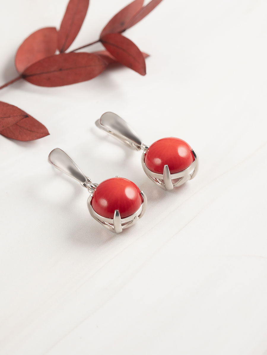 051330 Серьги (Ag 925)