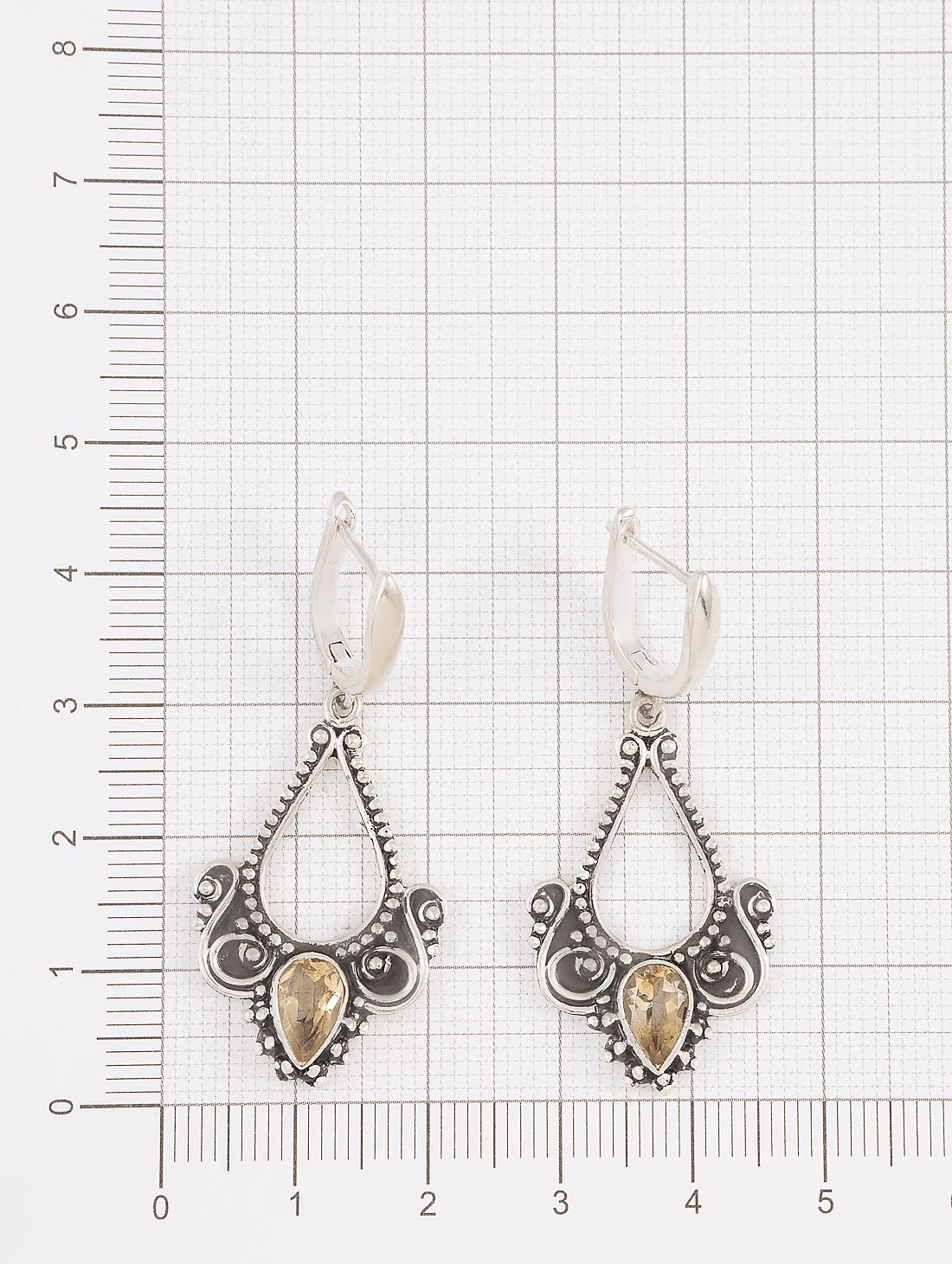 22020 Серьги (Ag 925)