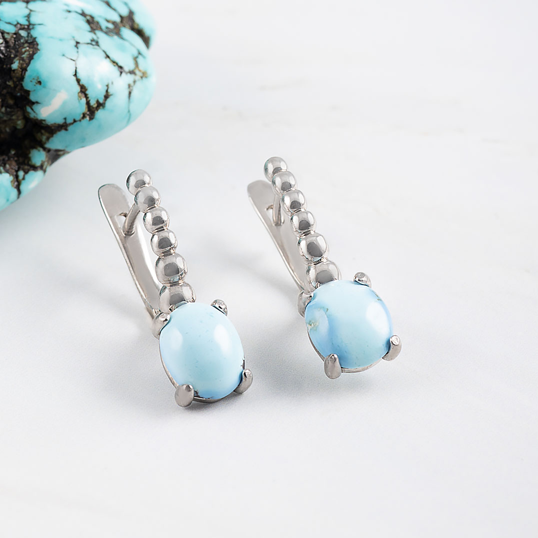 059691 Серьги (Ag 925)