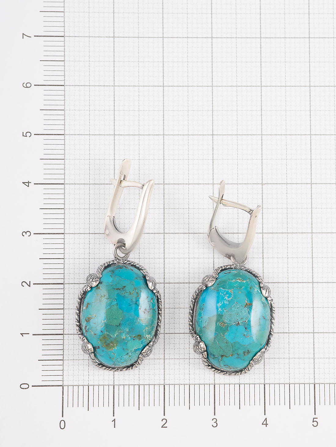 060133 Серьги (Ag 925)