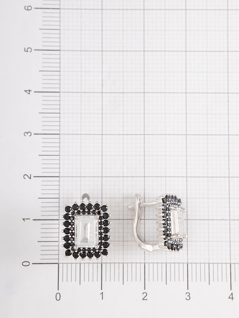 101800 Серьги (Ag 925)