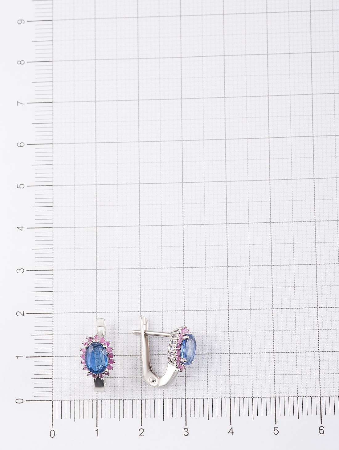 100919 Серьги (Ag 925)