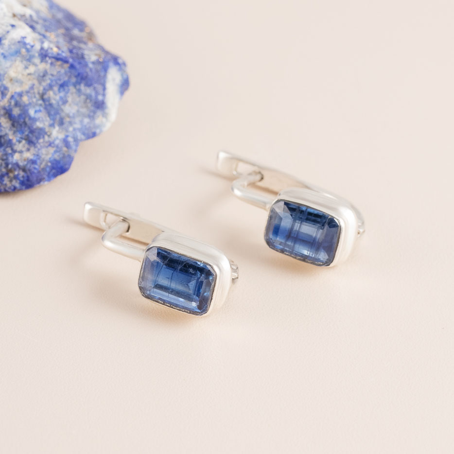 67923 Серьги (Ag 925)