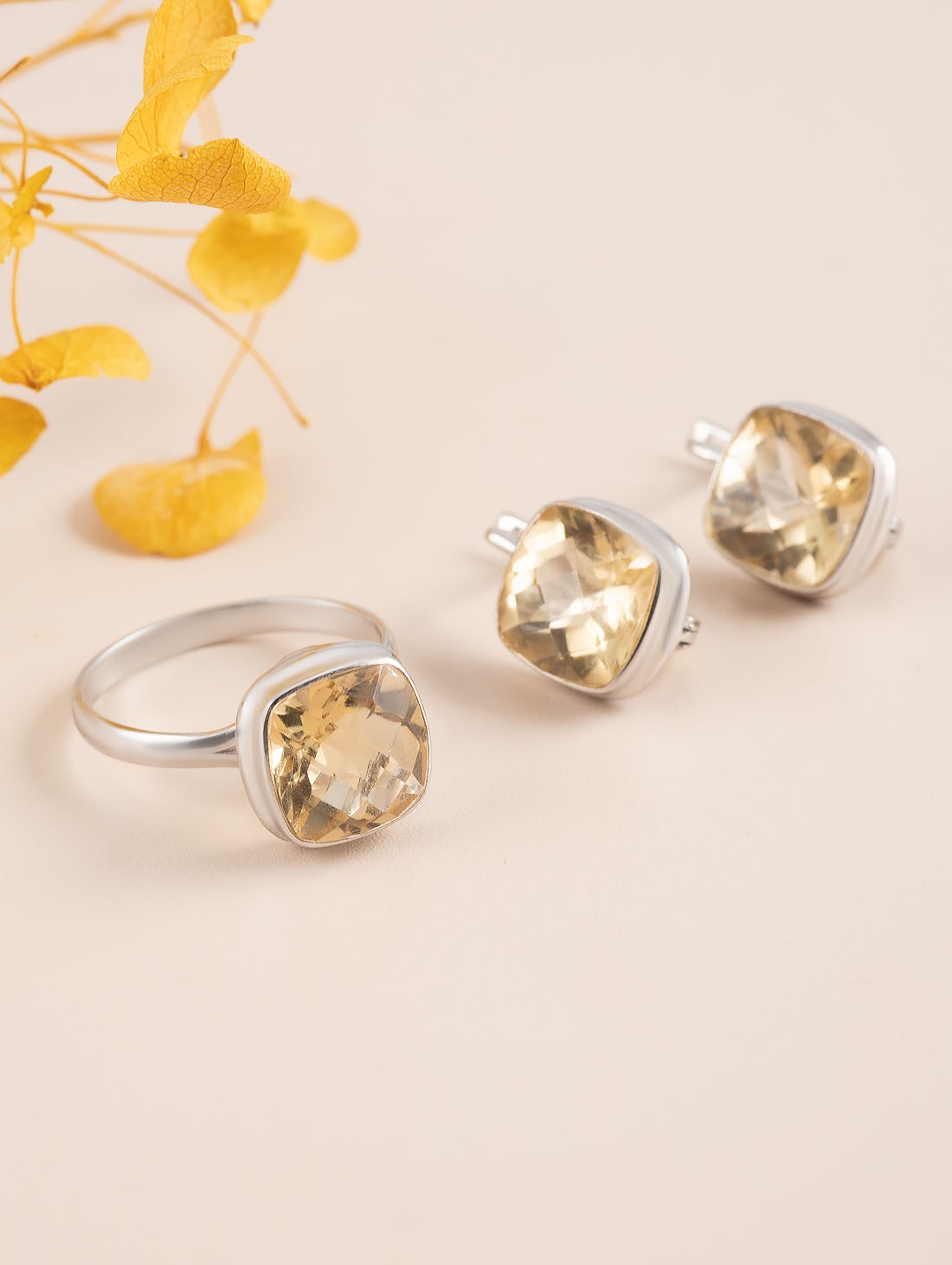 88719 Серьги (Ag 925)