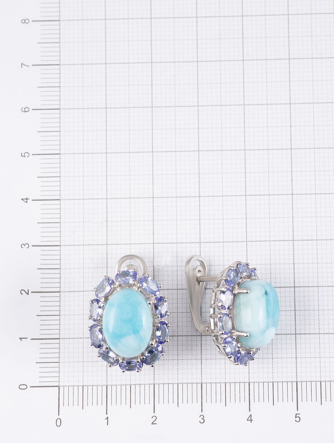 99495 Серьги (Ag 925)