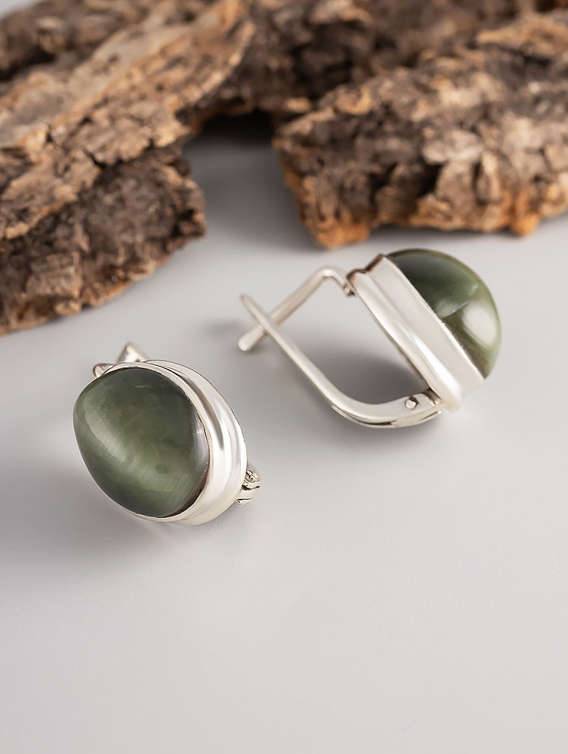 97253 Серьги (Ag 925)