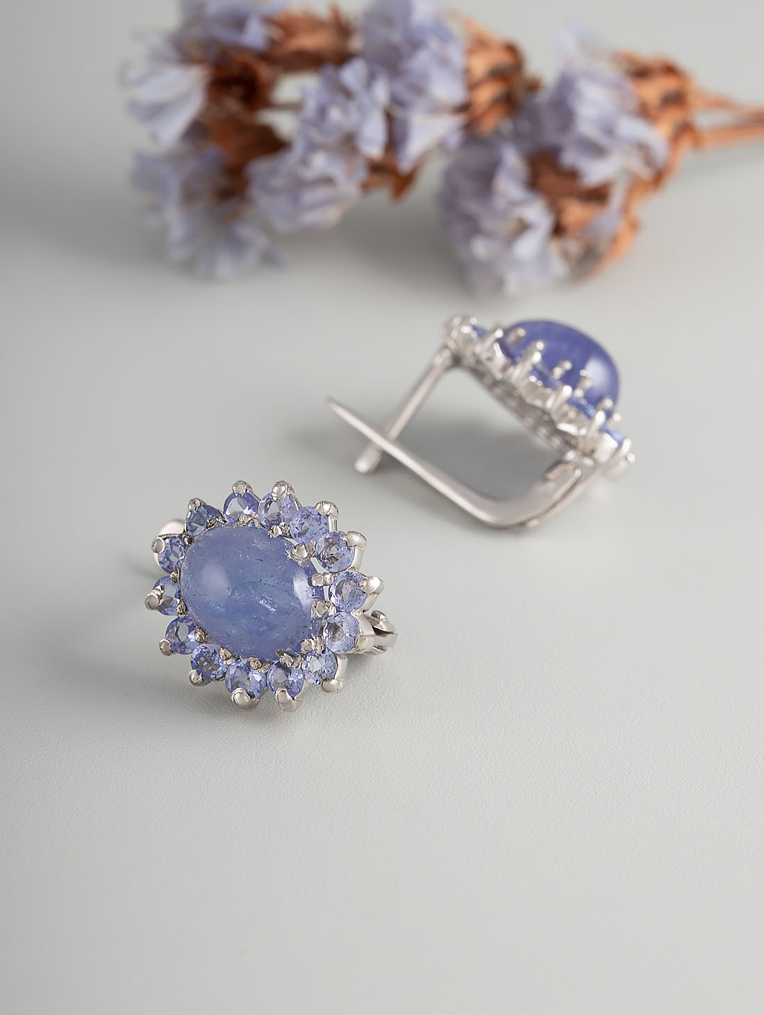 100818 Серьги (Ag 925)