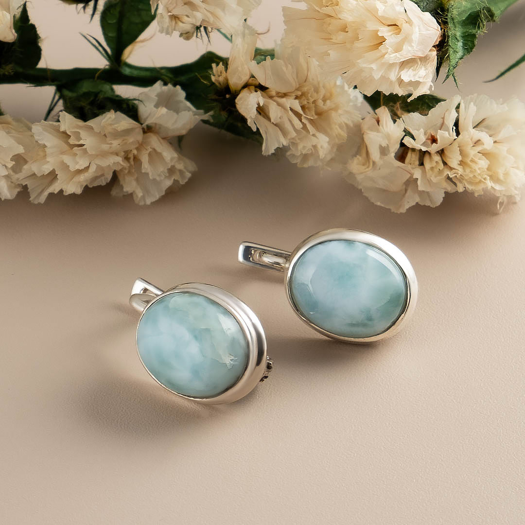 66878 Серьги (Ag 925)