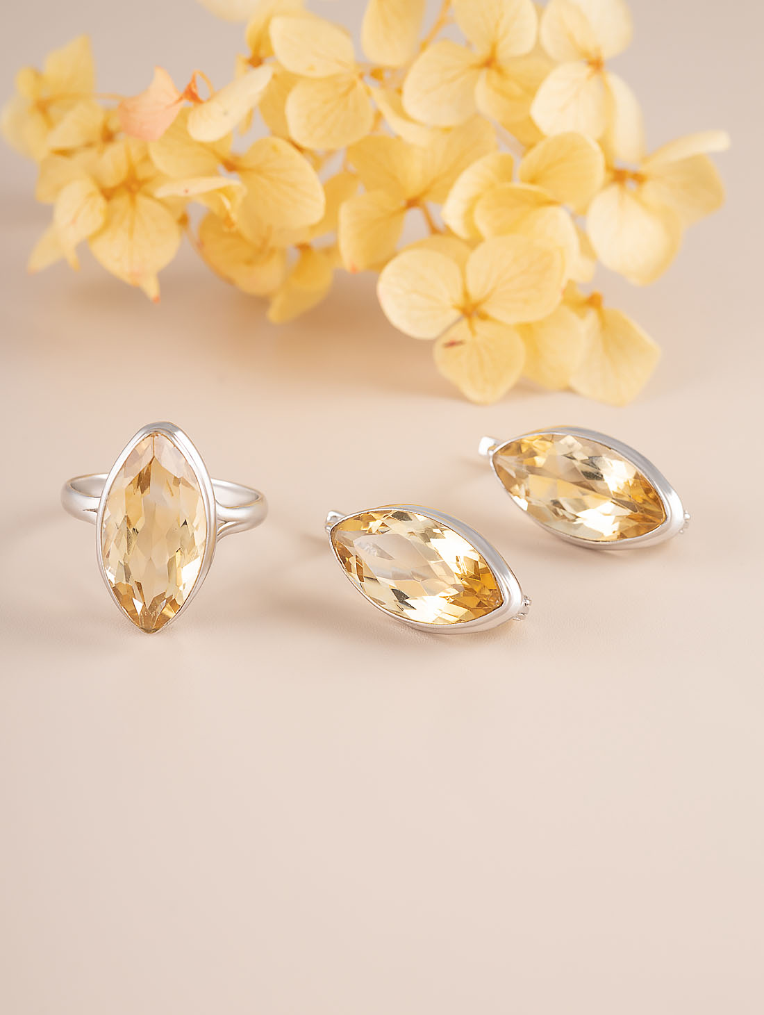 88232 Серьги (Ag 925)