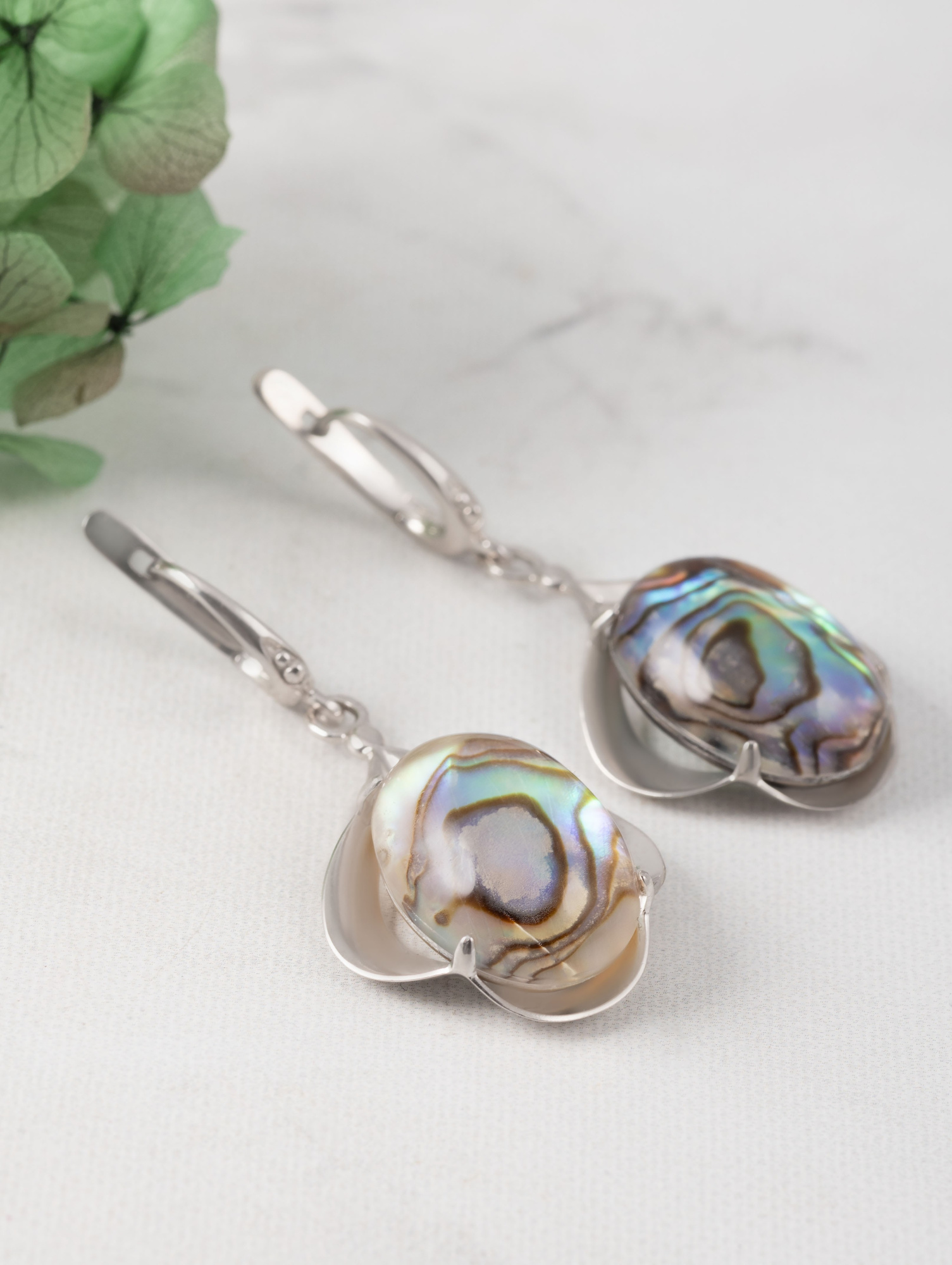 060267 Серьги (Ag 925)