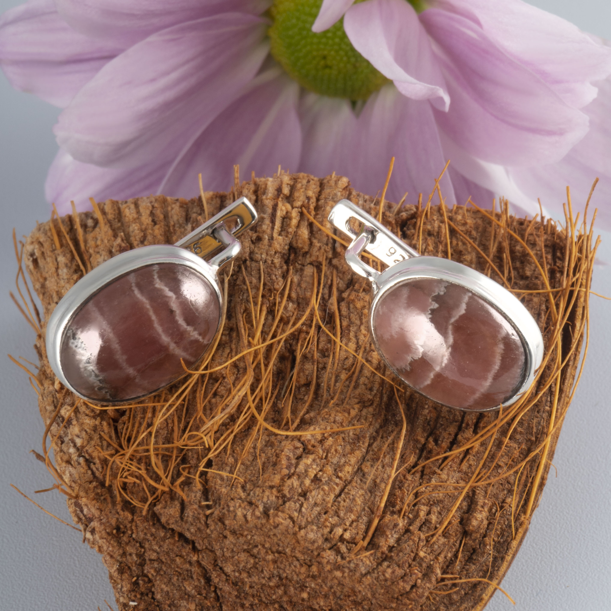 66702 Серьги (Ag 925)