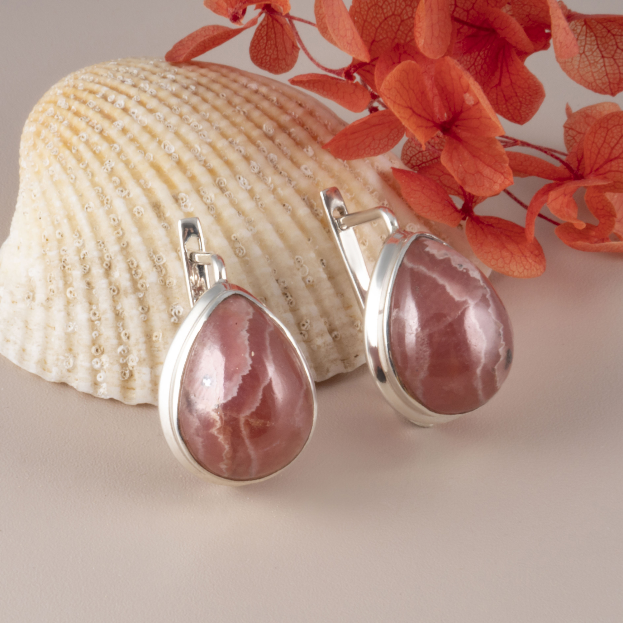 66706 Серьги (Ag 925)