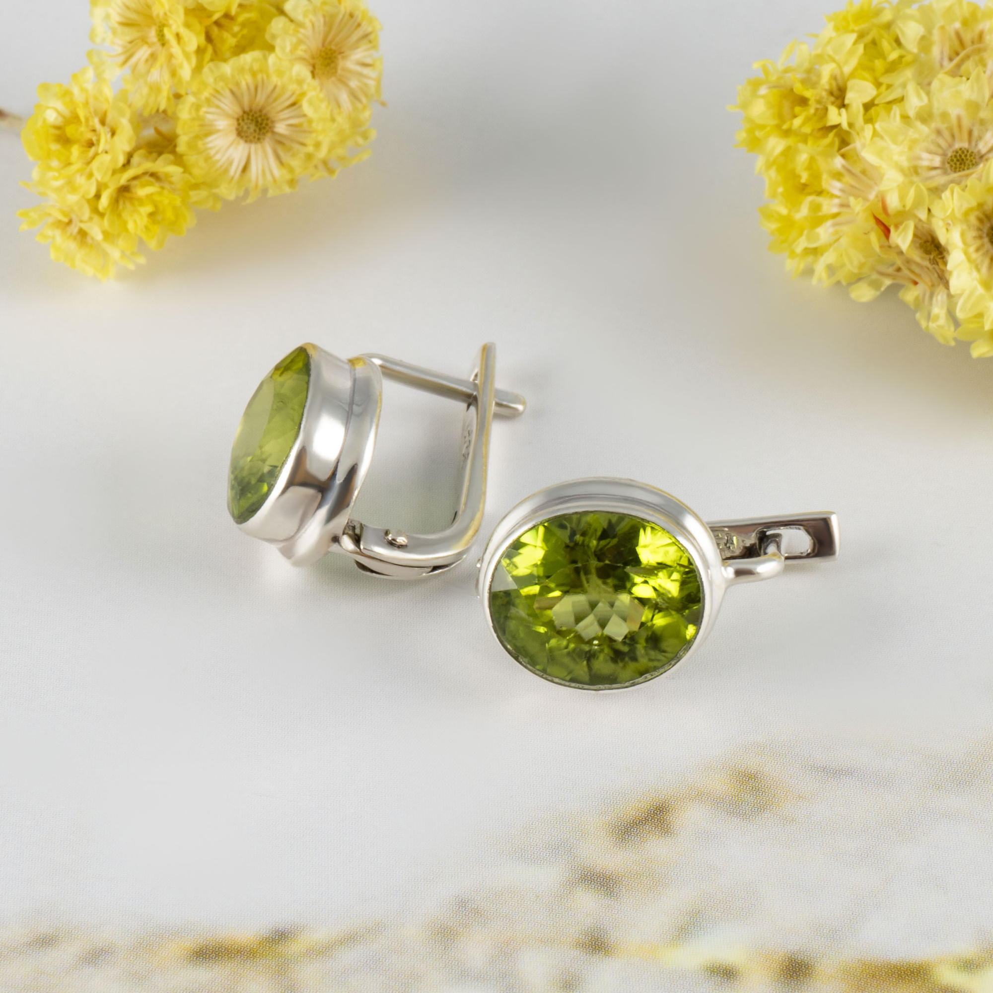 66720 Серьги (Ag 925)