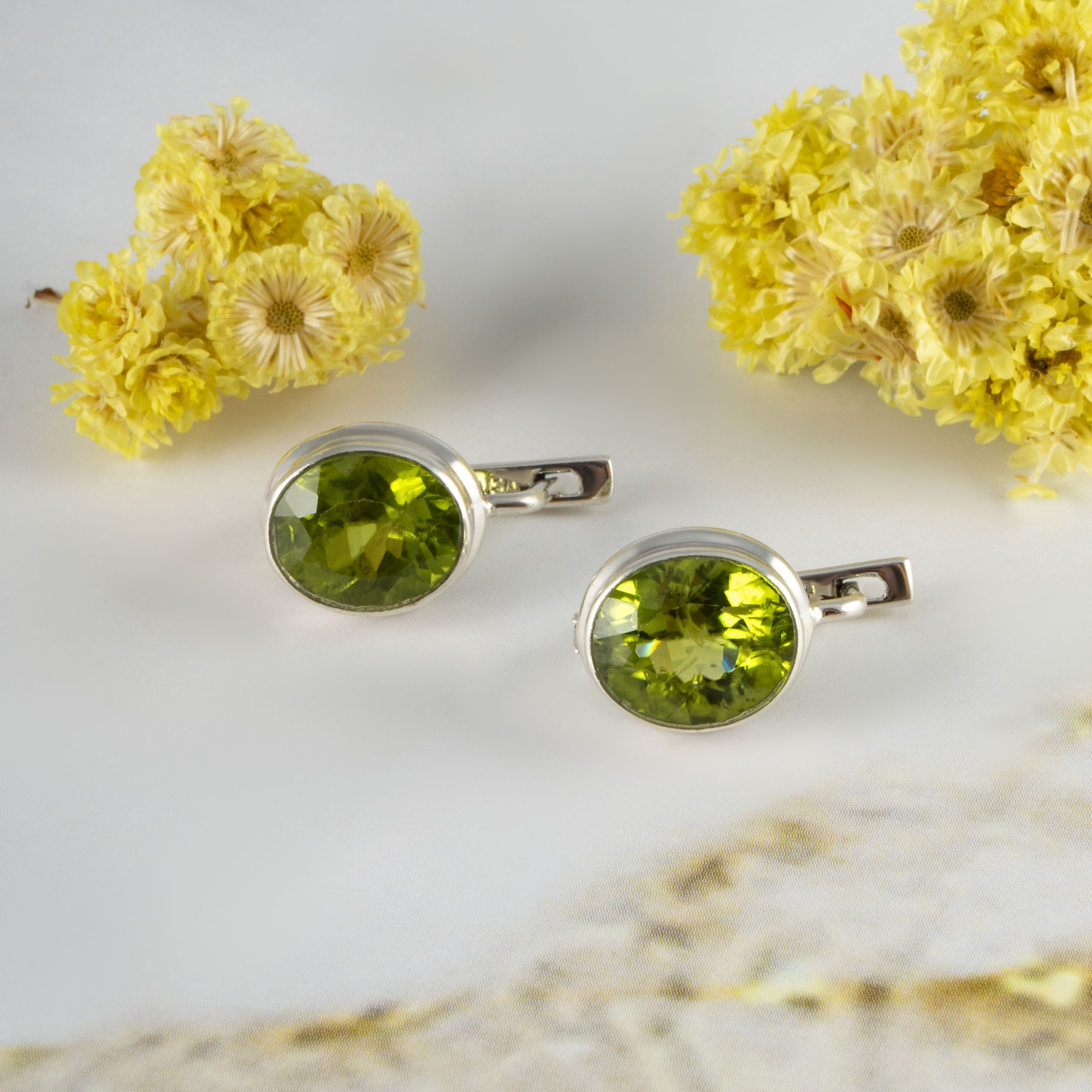 66720 Серьги (Ag 925)