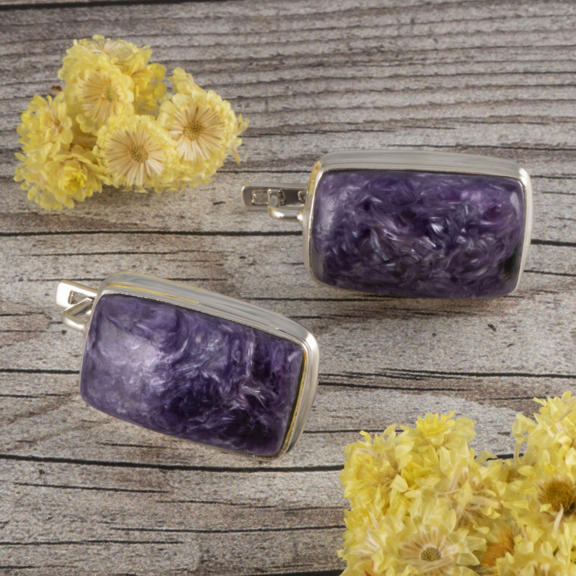 66726 Серьги (Ag 925)