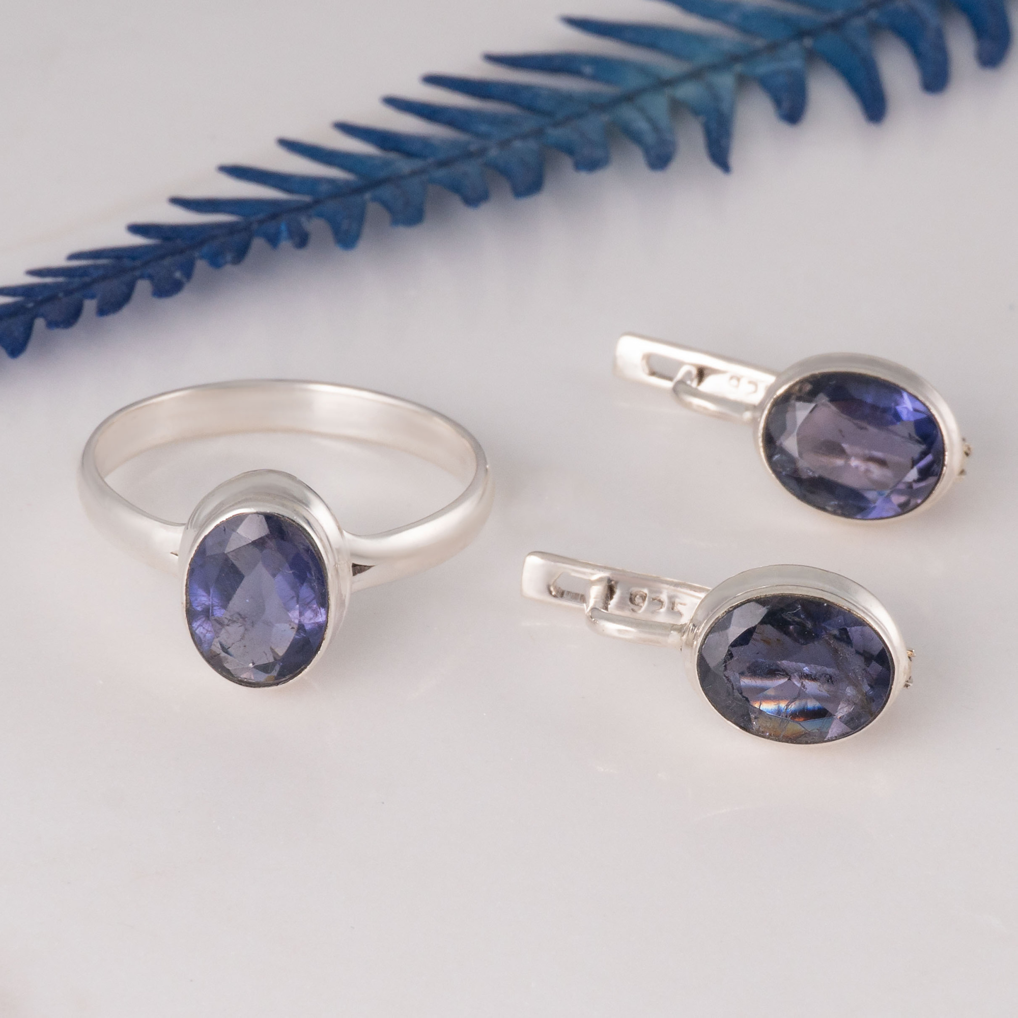 66929 Серьги (Ag 925)