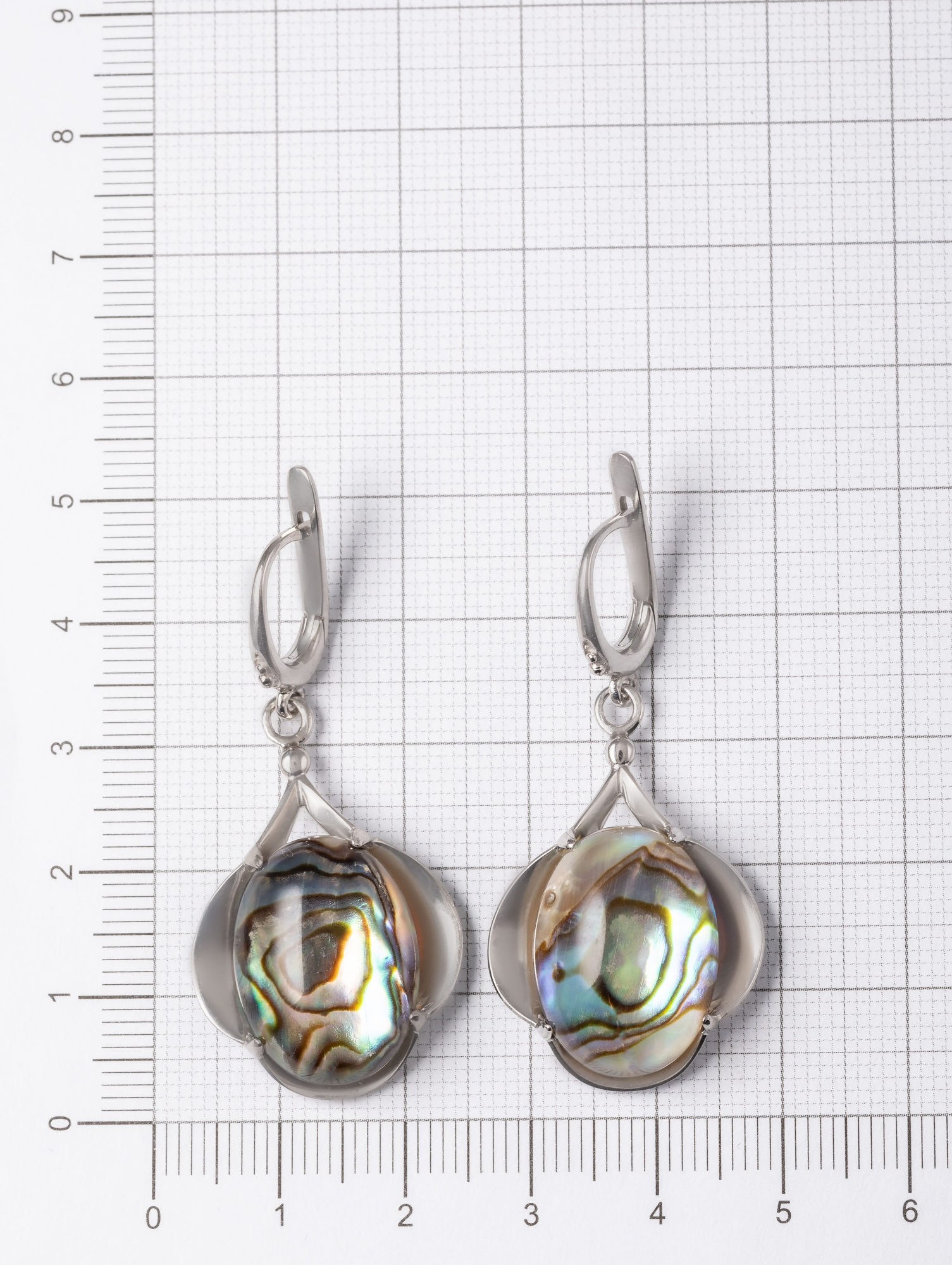 060267 Серьги (Ag 925)