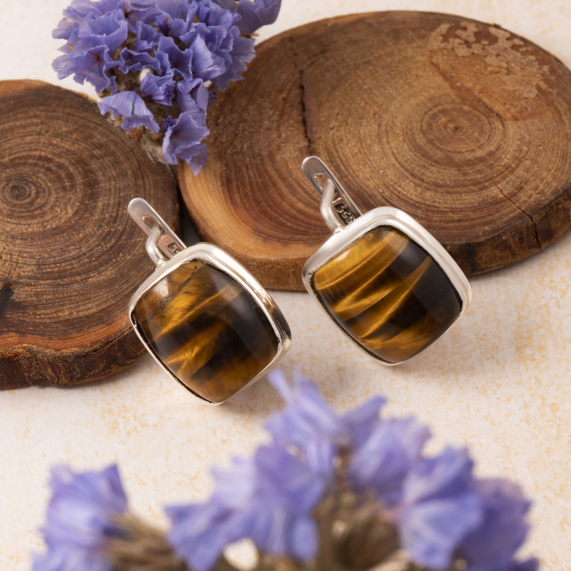 66675 Серьги (Ag 925)