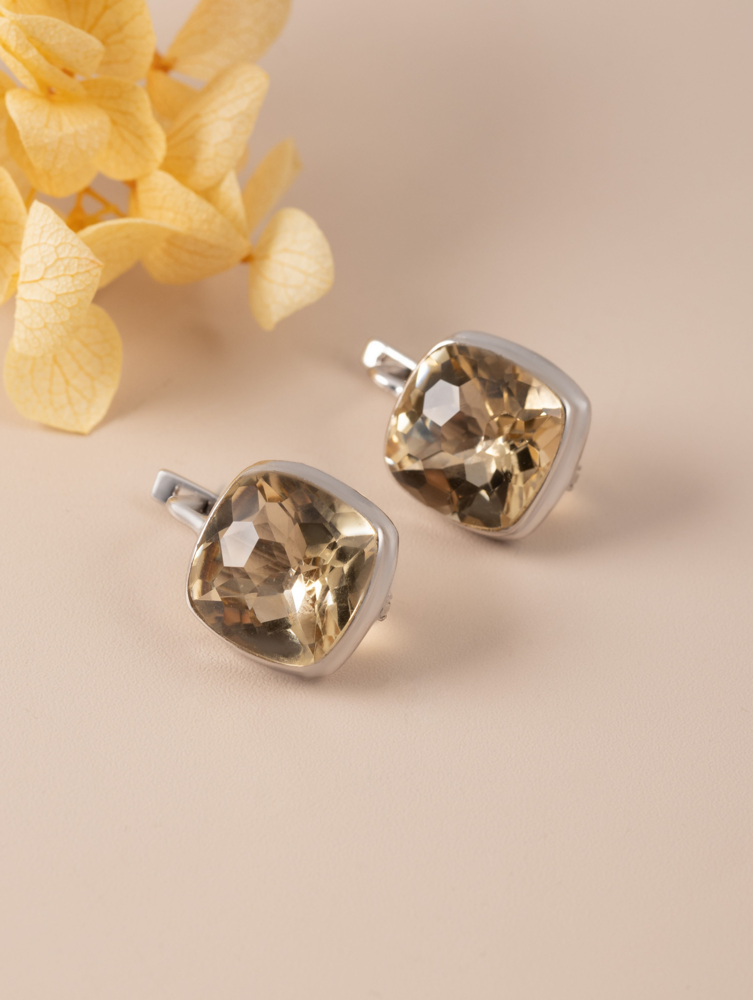 88504 Серьги (Ag 925)