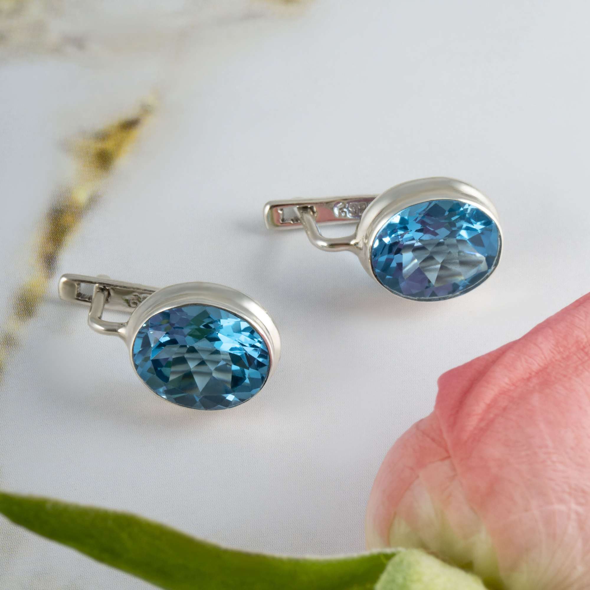 66737 Серьги (Ag 925)