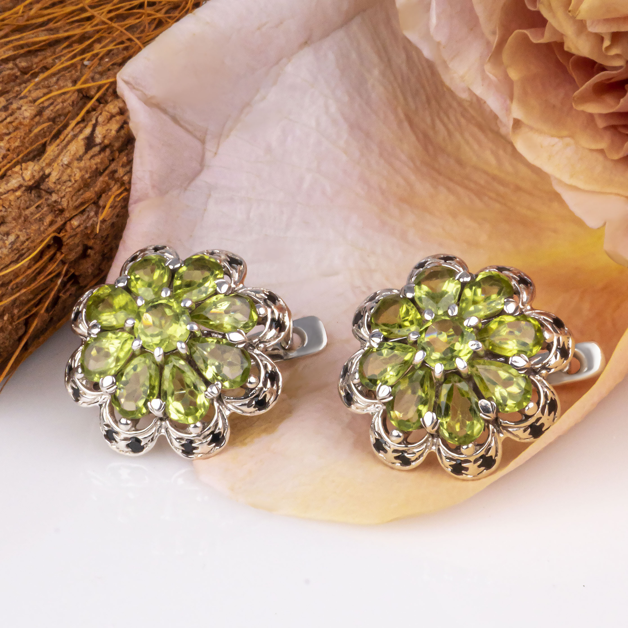 8185 Серьги (Ag 925)